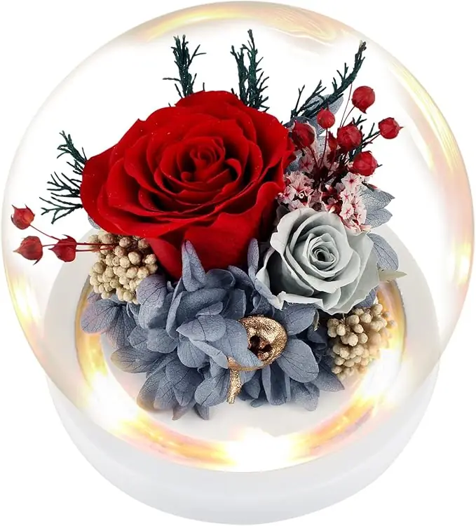 Flowers, Roses, Gift - Forever Roses Flowers Bouquet - Fresh Flowers for Delivery Prime to Show Love - Preserved Flowers Birthday Gift for Women