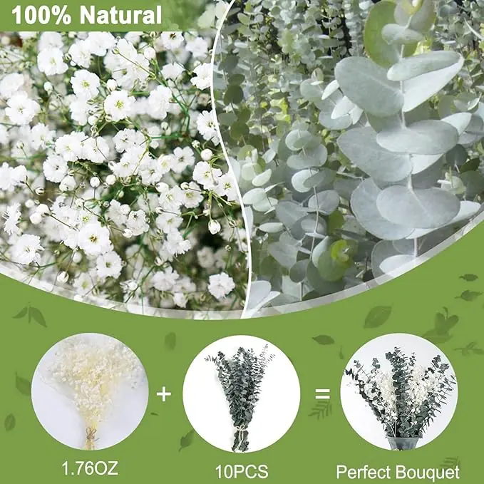 20+Pcs Dried Baby Breath Flowers Eucalyptus Bouquets - Natural Real Bouquets,17” Gypsophila Eucalyptus Stems Bulk Wedding Floral Arrangement Party Home Decoration,Bridal Bouquet Home Vase - Image 3