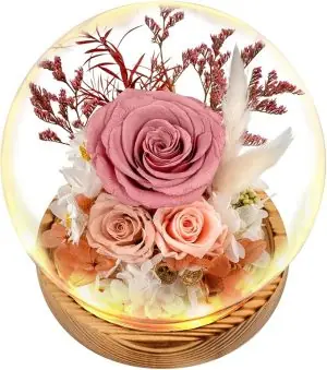 Flowers, Roses, Gift - Fresh Flowers Bouquet & Preserved Flowers Roses for Home Decor - Flowers for Delivery to Show Love