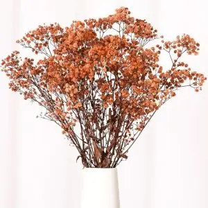 Babys Breath Dried Flowers Bouquet-17'' 1800+ Ivory Dry Flowers, Natural Gypsophila Branches for Wedding