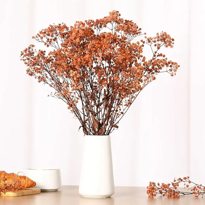 Babys Breath Dried Flowers Bouquet-17'' 1800+ Ivory Dry Flowers, Natural Gypsophila Branches for Wedding - Image 2