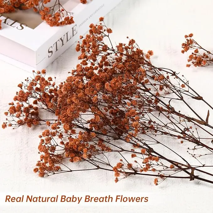 Babys Breath Dried Flowers Bouquet-17'' 1800+ Ivory Dry Flowers, Natural Gypsophila Branches for Wedding - Image 3