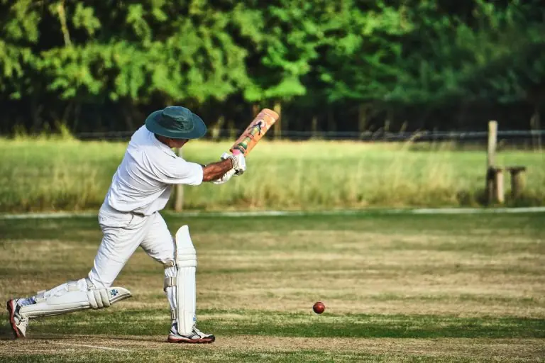 Fantasy Sports: Where Passion Meets Strategy and Every Match Becomes an Adventure